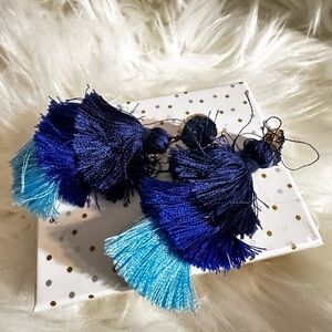 Elegant Blue Tassel Earrings